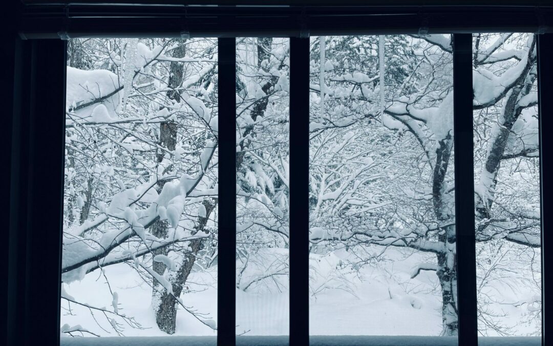 Best Window Coverings to Keep Heat in Your Home This Winter 2021