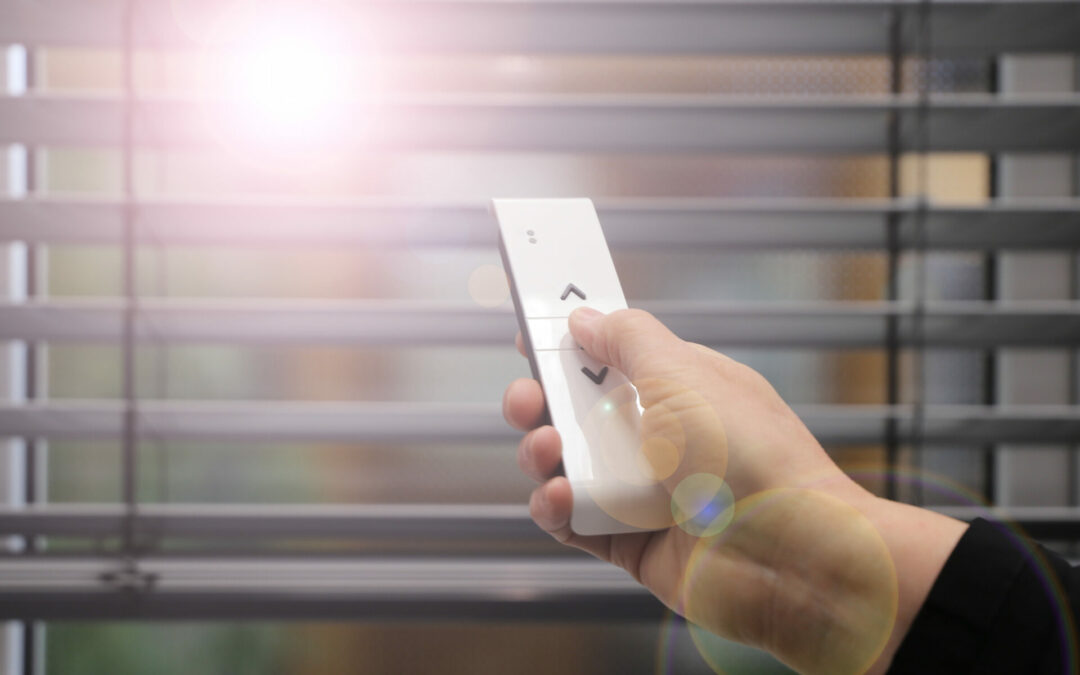 Why Motorized Blinds Are Essential For Pets And Children