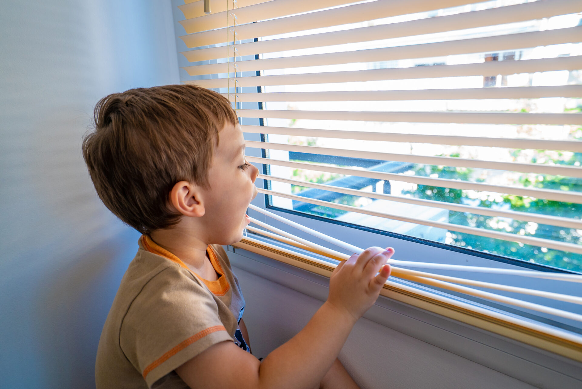 Boy looking through window blinds. Wholesale Blind Factory