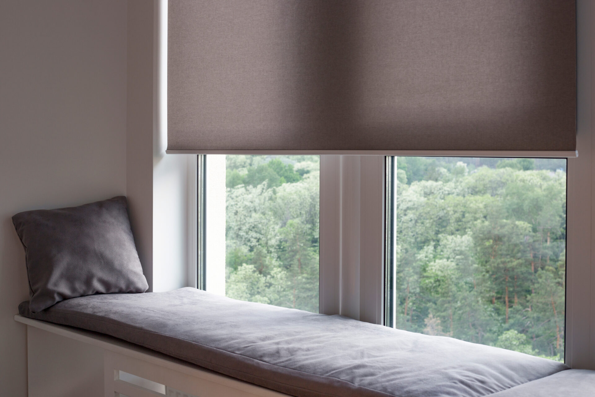 Beige roller shades on large windows in living room. Find shades at Wholesale Blind Factory.