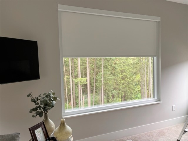 SHADES, ROLLER SHADES 2