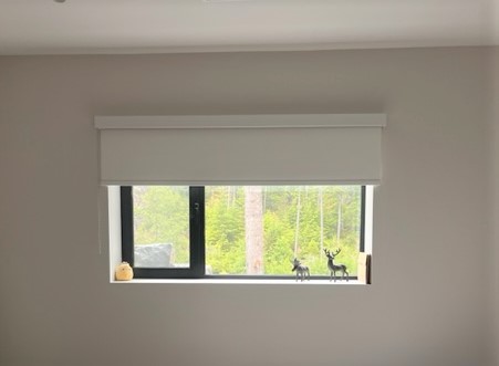 SHADES, ROLLER SHADES 4