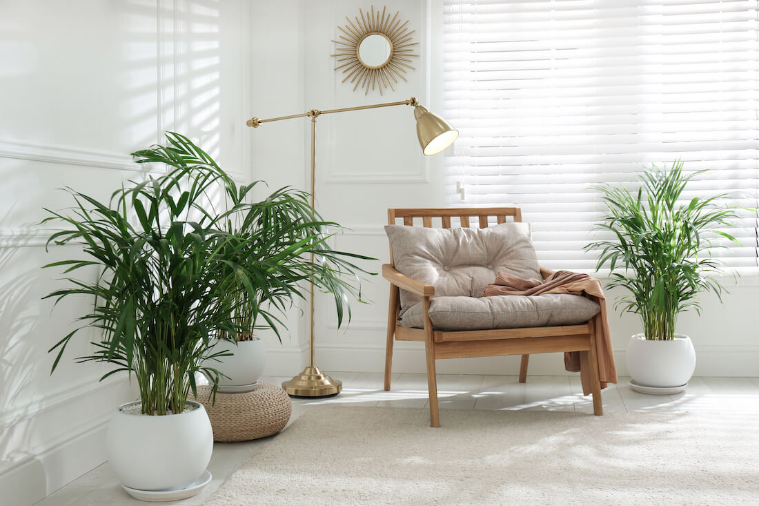 Neutral coloured minimalist room with plants, a pendant light, and big chair.